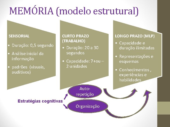 MEMÓRIA (modelo estrutural) SENSORIAL • Duração: 0, 5 segundo • Análise inicial da informação MEMÓRIA (modelo estrutural) SENSORIAL • Duração: 0, 5 segundo • Análise inicial da informação