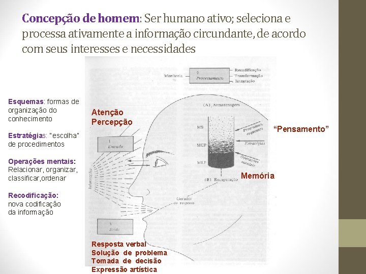 Concepção de homem: Ser humano ativo; seleciona e processa ativamente a informação circundante, de Concepção de homem: Ser humano ativo; seleciona e processa ativamente a informação circundante, de