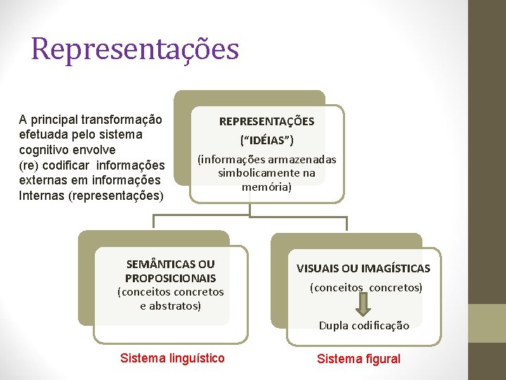 Representações A principal transformação efetuada pelo sistema cognitivo envolve (re) codificar informações externas em Representações A principal transformação efetuada pelo sistema cognitivo envolve (re) codificar informações externas em
