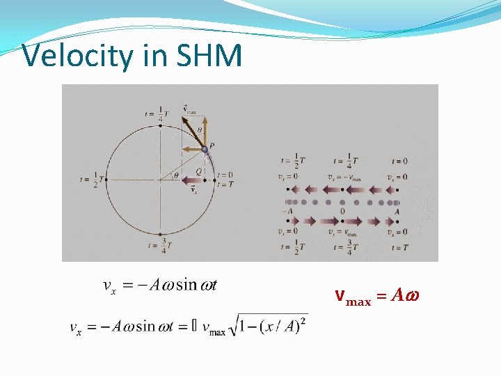 Velocity in SHM vmax = Aw 