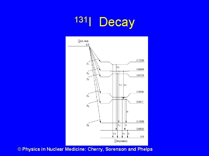 131 I Decay © Physics in Nuclear Medicine: Cherry, Sorenson and Phelps 
