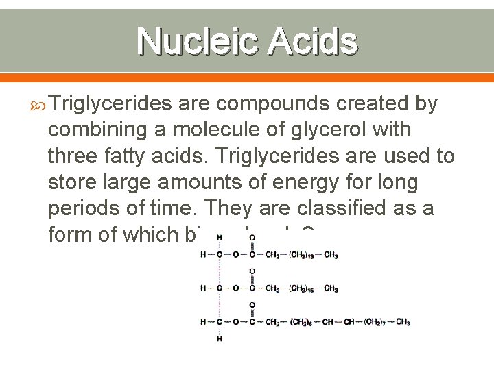 Nucleic Acids Triglycerides are compounds created by combining a molecule of glycerol with three