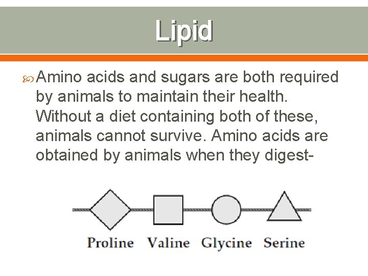 Lipid Amino acids and sugars are both required by animals to maintain their health.