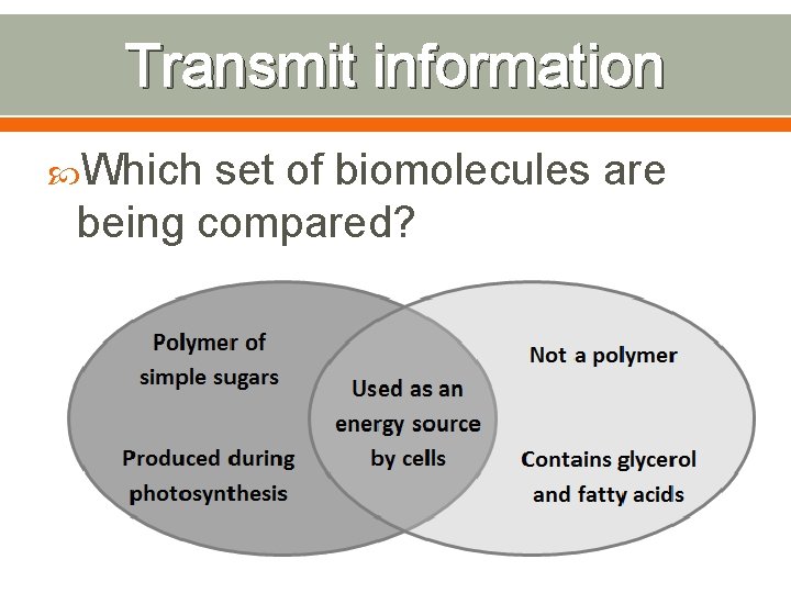 Transmit information Which set of biomolecules are being compared? 