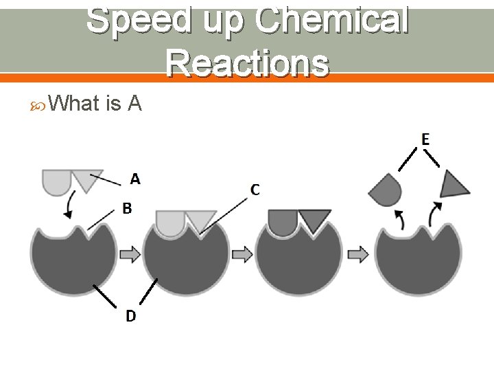 Speed up Chemical Reactions What is A 