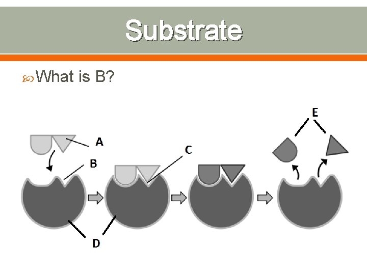 Substrate What is B? 