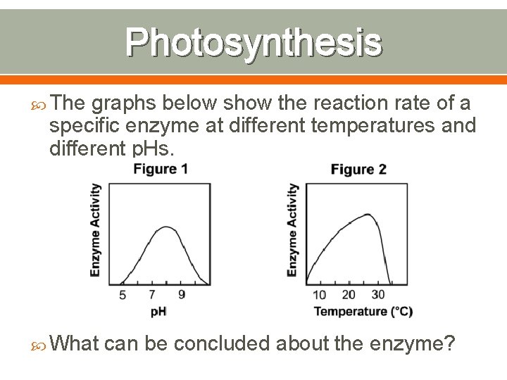 Photosynthesis The graphs below show the reaction rate of a specific enzyme at different