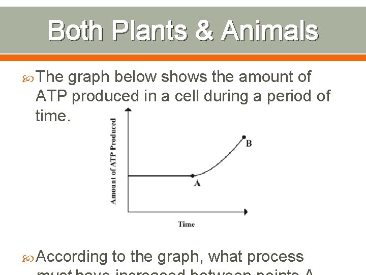 Both Plants & Animals The graph below shows the amount of ATP produced in
