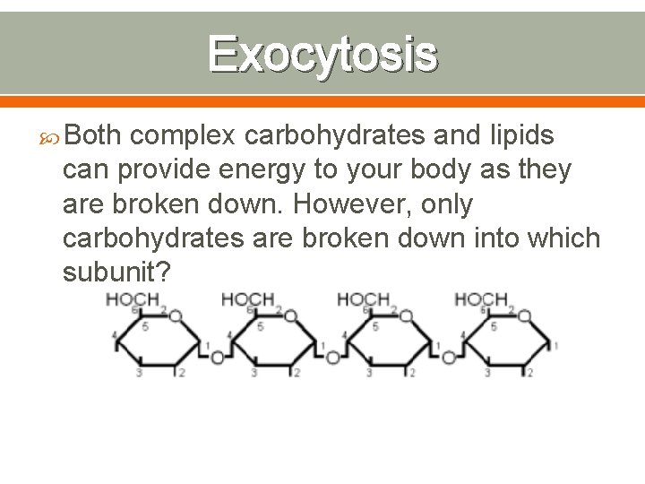 Exocytosis Both complex carbohydrates and lipids can provide energy to your body as they
