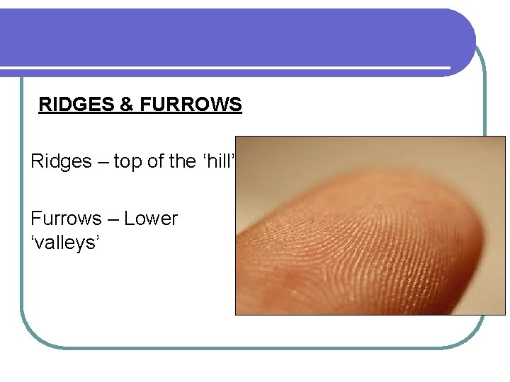 RIDGES & FURROWS Ridges – top of the ‘hill’ Furrows – Lower ‘valleys’ 