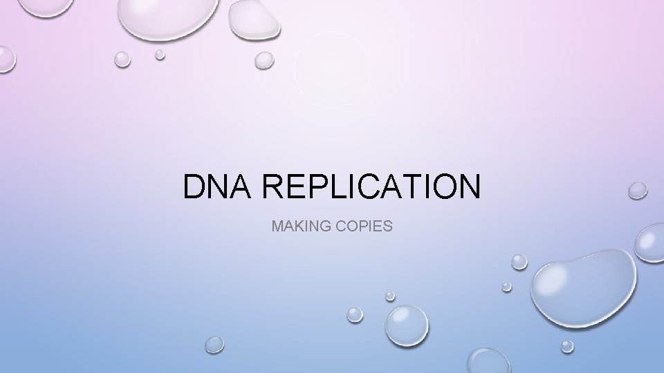 DNA REPLICATION MAKING COPIES 