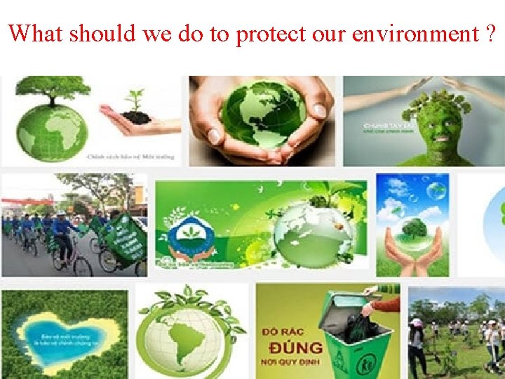 What should we do to protect our environment ? 