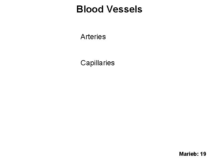 Blood Vessels Arteries Capillaries Marieb: 19 