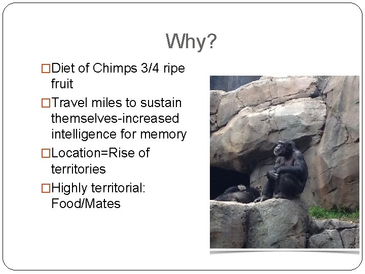 Why? �Diet of Chimps 3/4 ripe fruit �Travel miles to sustain themselves-increased intelligence for