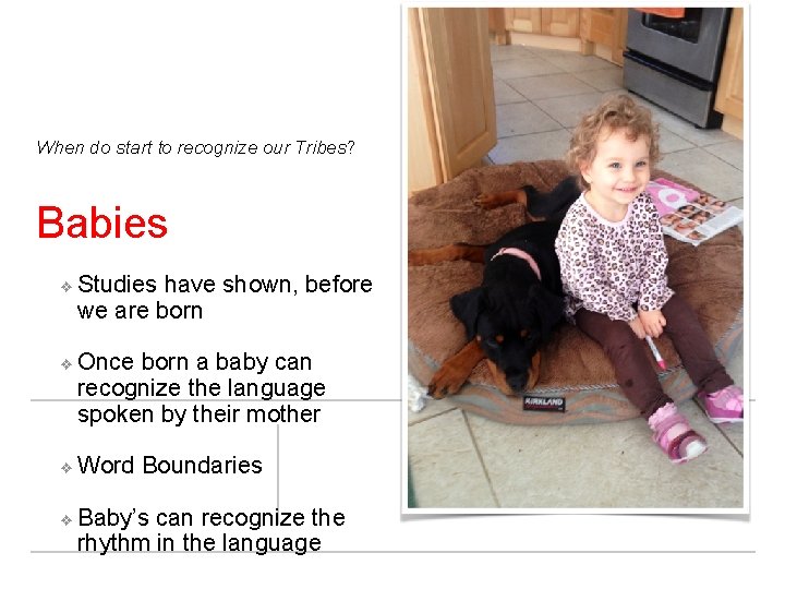 When do start to recognize our Tribes? Babies ❖ ❖ Studies have shown, before
