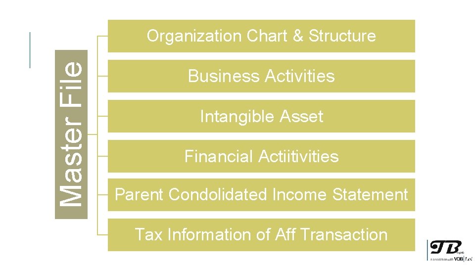 Master File Organization Chart & Structure Business Activities Intangible Asset Financial Actiitivities Parent Condolidated