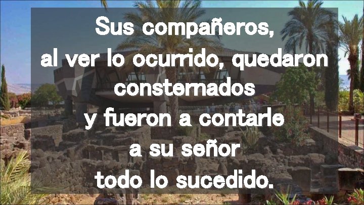 Sus compañeros, al ver lo ocurrido, quedaron consternados y fueron a contarle a su