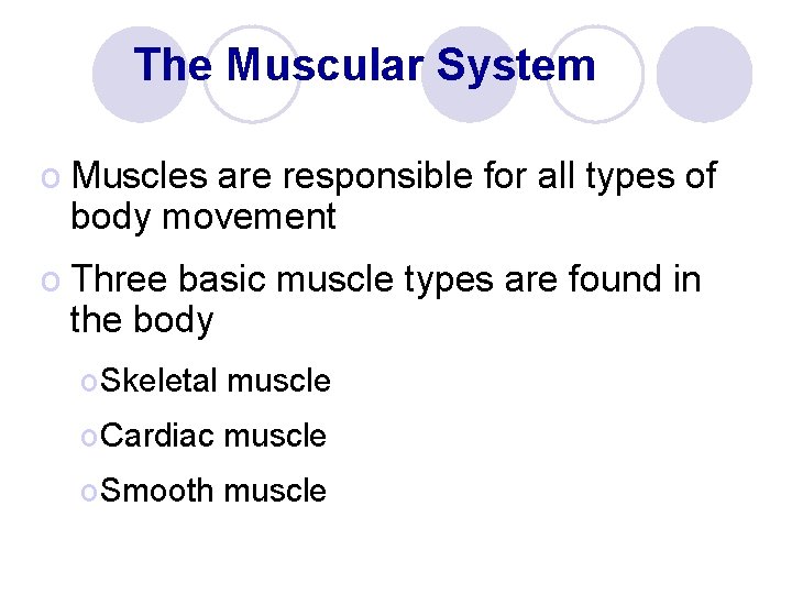 The Muscular System o Muscles are responsible for all types of body movement o