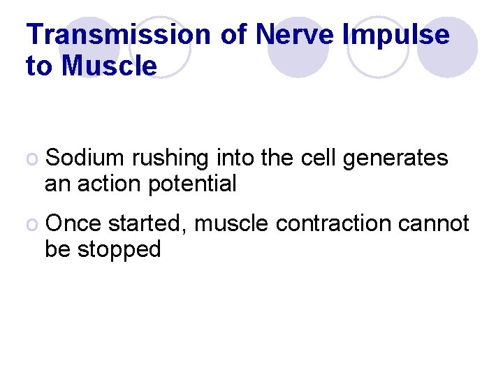 Transmission of Nerve Impulse to Muscle o Sodium rushing into the cell generates an