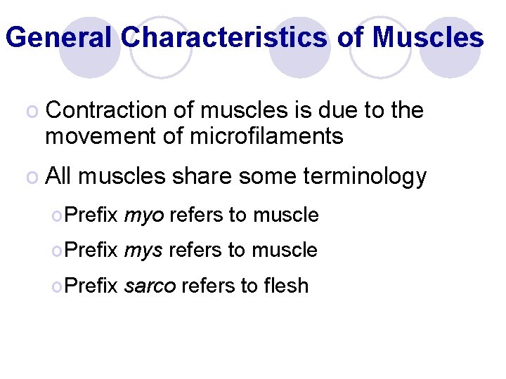 General Characteristics of Muscles o Contraction of muscles is due to the movement of