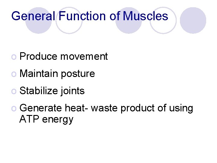 General Function of Muscles o Produce movement o Maintain posture o Stabilize joints o