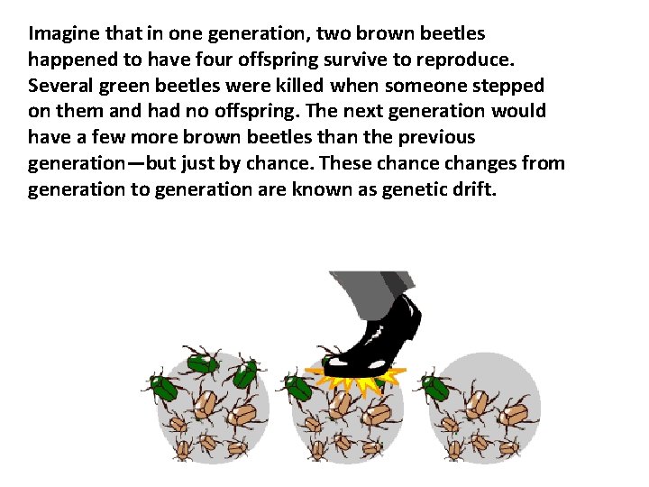 Imagine that in one generation, two brown beetles happened to have four offspring survive