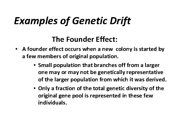 Examples of Genetic Drift The Founder Effect: • A founder effect occurs when a