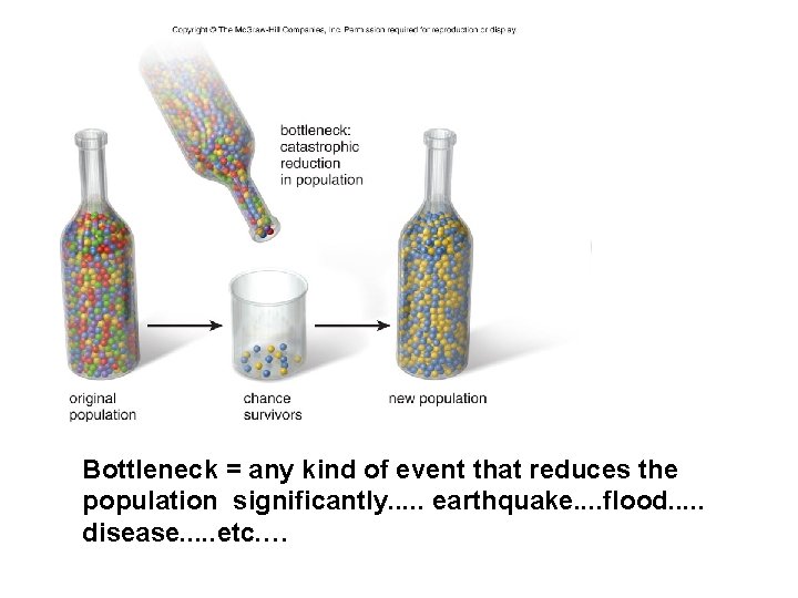 Bottleneck = any kind of event that reduces the population significantly. . . earthquake.