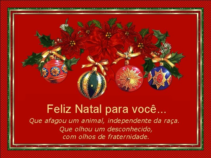 Feliz Natal para você. . . Que afagou um animal, independente da raça. Que