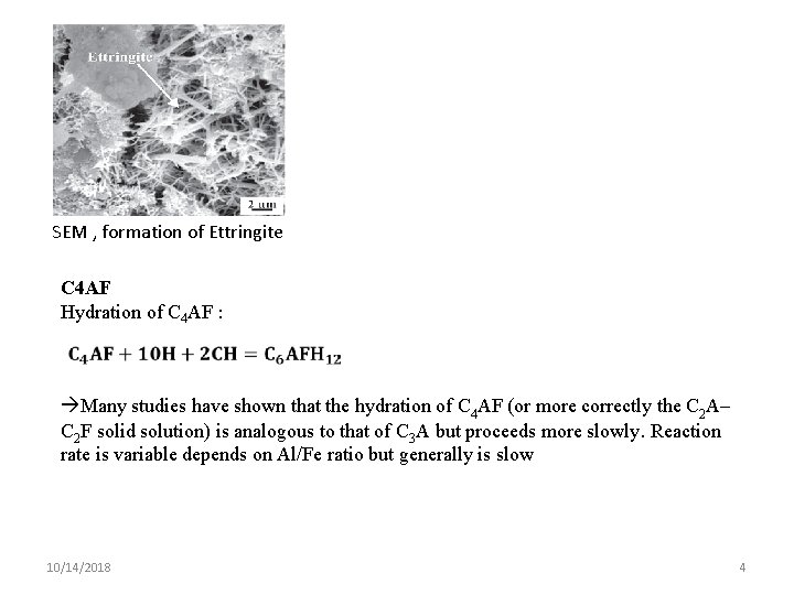 SEM , formation of Ettringite C 4 AF Hydration of C 4 AF :