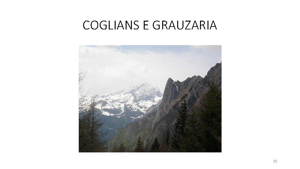 COGLIANS E GRAUZARIA 15 