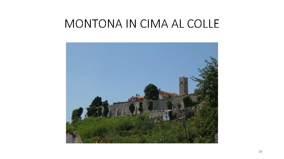 MONTONA IN CIMA AL COLLE 39 