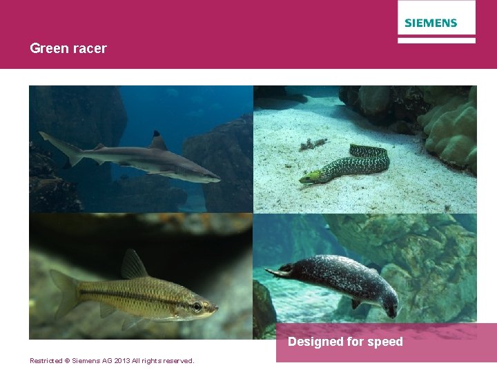 Green racer Designed for speed Restricted © Siemens AG 2013 All rights reserved. 