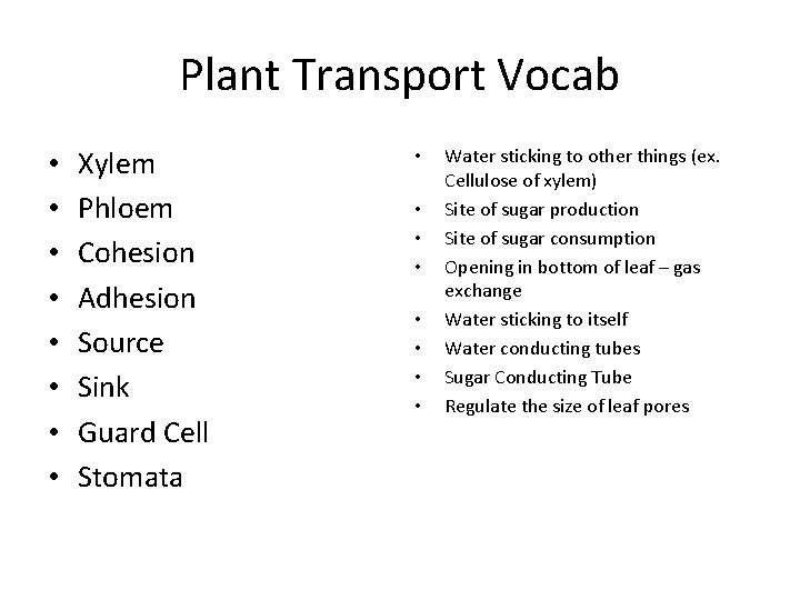 Plant Transport Vocab • • Xylem Phloem Cohesion Adhesion Source Sink Guard Cell Stomata