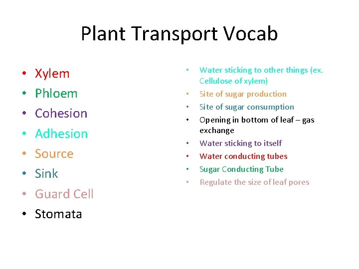 Plant Transport Vocab • • Xylem Phloem Cohesion Adhesion Source Sink Guard Cell Stomata