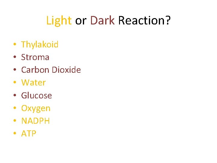 Light or Dark Reaction? • • Thylakoid Stroma Carbon Dioxide Water Glucose Oxygen NADPH