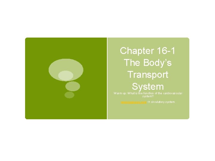 Chapter 16 -1 The Body’s Transport System Warm up: What is the function of