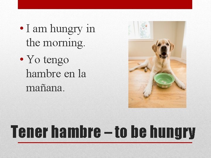  • I am hungry in the morning. • Yo tengo hambre en la