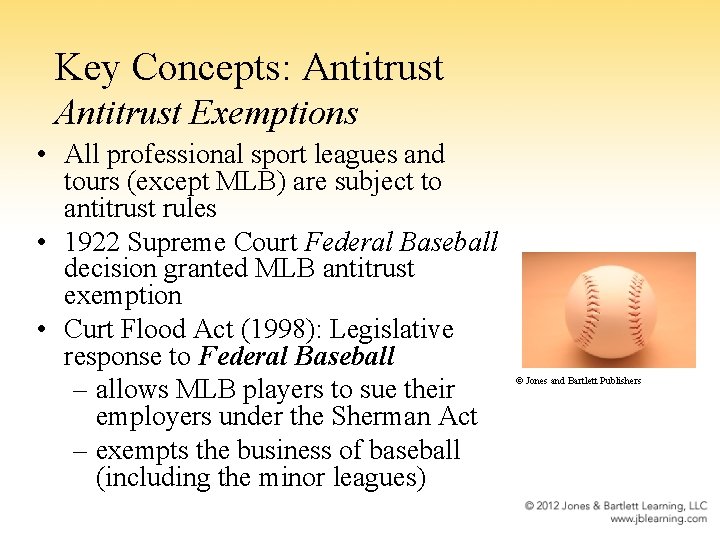 Key Concepts: Antitrust Exemptions • All professional sport leagues and tours (except MLB) are