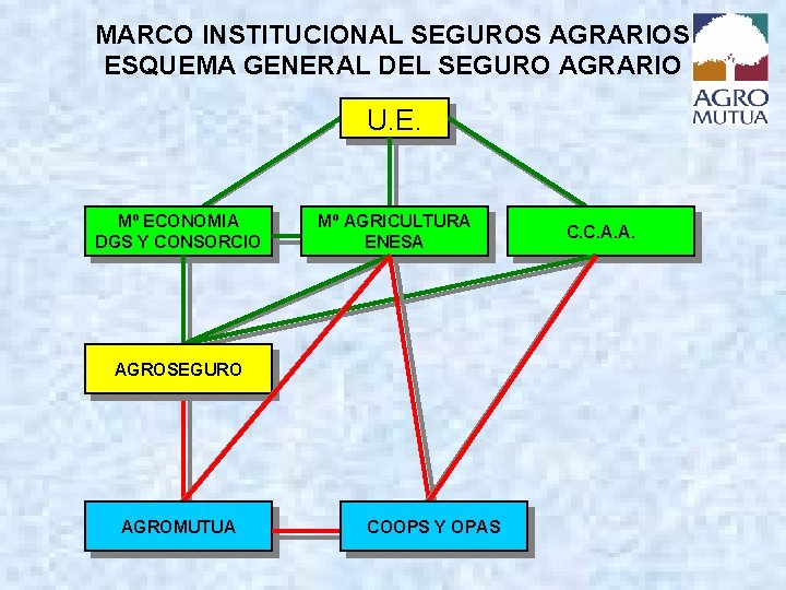 MARCO INSTITUCIONAL SEGUROS AGRARIOS ESQUEMA GENERAL DEL SEGURO AGRARIO U. E. Mº ECONOMIA DGS