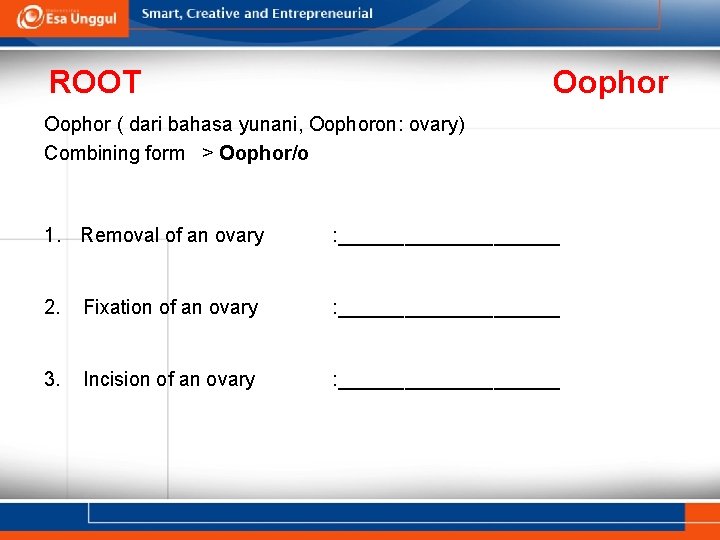 ROOT Oophor ( dari bahasa yunani, Oophoron: ovary) Combining form > Oophor/o 1. Removal