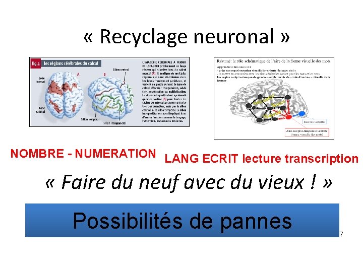  « Recyclage neuronal » NOMBRE - NUMERATION LANG ECRIT lecture transcription « Faire