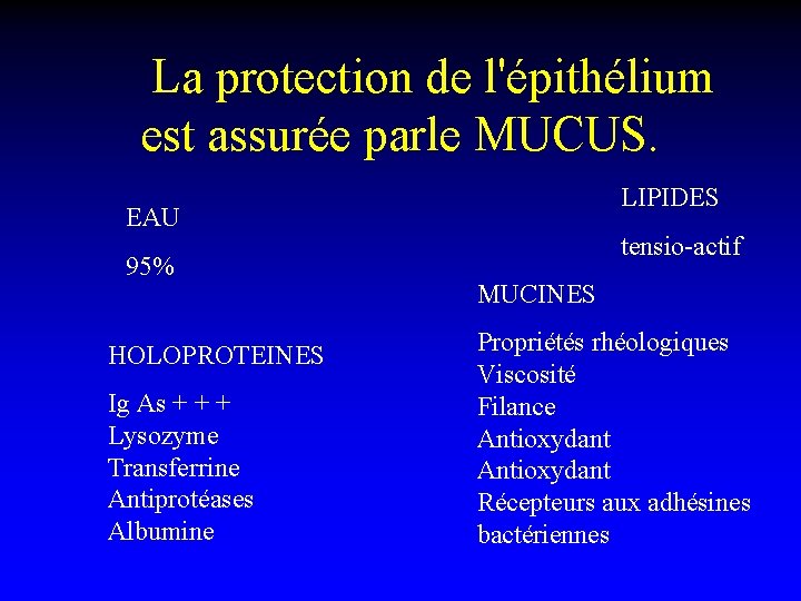 La protection de l'épithélium est assurée parle MUCUS. LIPIDES EAU 95% HOLOPROTEINES Ig As