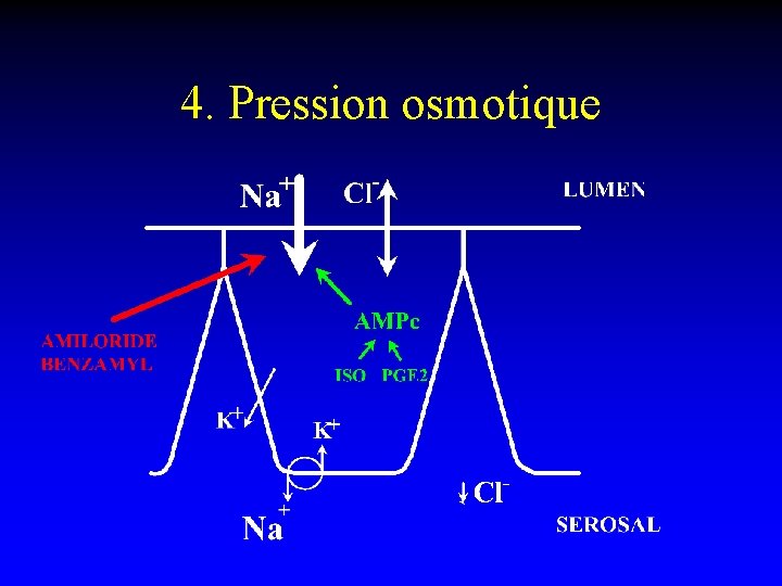 4. Pression osmotique 