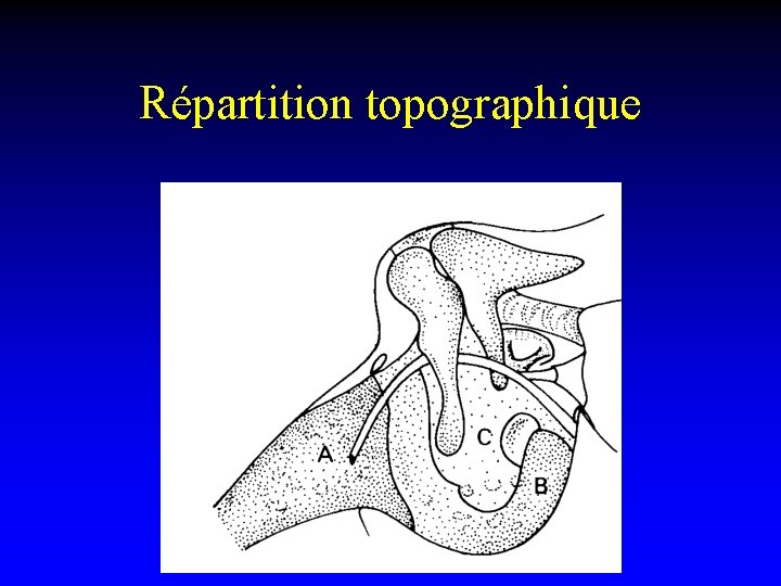 Répartition topographique 