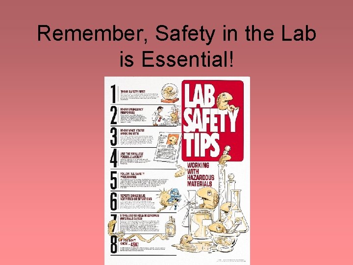 Remember, Safety in the Lab is Essential! Remember, Safety in the Lab is Essential!
