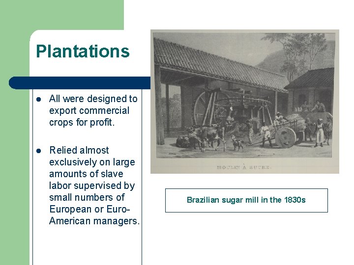 Plantations l All were designed to export commercial crops for profit. l Relied almost