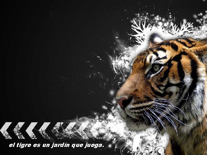 el tigre es un jardín que juega. 