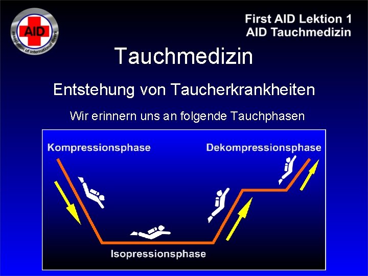 Tauchmedizin Entstehung von Taucherkrankheiten Wir erinnern uns an folgende Tauchphasen 