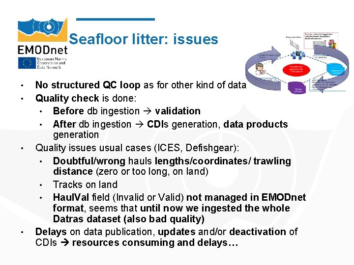 Seafloor litter: issues • • No structured QC loop as for other kind of